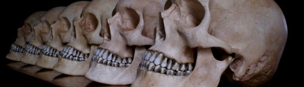 skull-reproduction.com